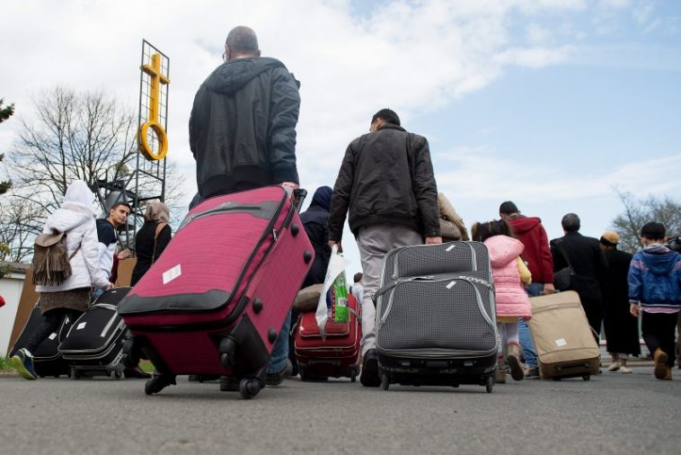 أخبار ألمانيا: العودة الطوعية إلى سوريا: عدد اللاجئين السوريين الذين عادوا طوعاً إلى بلادهم