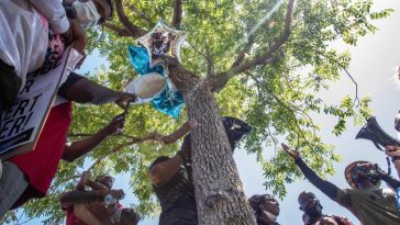 العثور على جثة رجل أسود معلقة على شجرة في ولاية كاليفورنيا الأمريكية