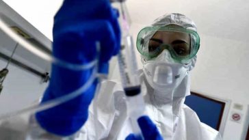 أخبار ألمانيا: السلالة الجديدة من فيروس كورونا موجودة في ألمانيا منذ نوفمبر