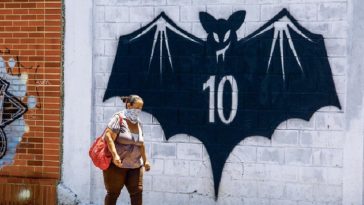 فرنسا: وفاة رجل ستيني بعد إصابته بفيروس الخفافيش الأوروبي