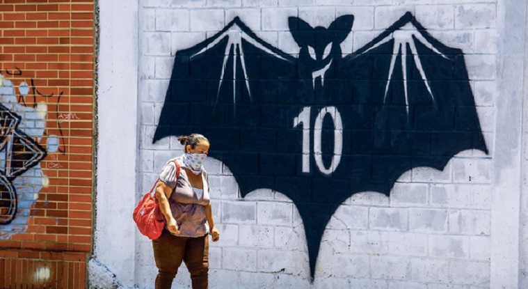 فرنسا: وفاة رجل ستيني بعد إصابته بفيروس الخفافيش الأوروبي