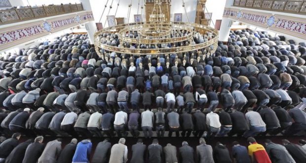 عدد المسلمين في ألمانيا