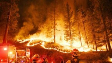 حرائق سوريا 2020