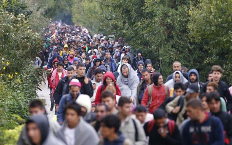 طريق بيلاروسيا بولندا: آلاف المهاجرين يصلون إلى ألمانيا عبر طريق الهجرة الجديد